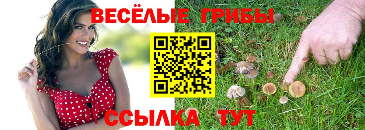 Псилоцибиновые грибы GOLDEN TEACHER  Псилоцибиновые грибы GOLDEN TEACHER  Вход с VPN  Строитель 